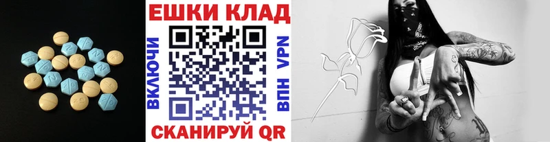 гидра ссылки  Котельнич  ЭКСТАЗИ Punisher  купить наркотики сайты 