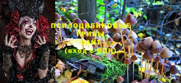 МДМА Киреевск