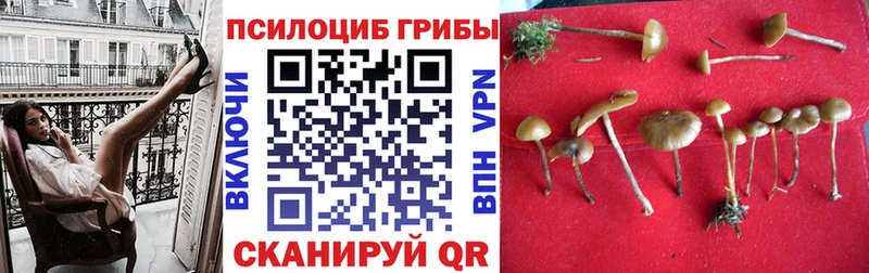 ОМГ ОМГ сайт  Котельнич  Псилоцибиновые грибы GOLDEN TEACHER 