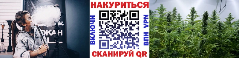 ОМГ ОМГ онион  маркетплейс официальный сайт  Канабис SATIVA & INDICA  где можно купить   Котельнич 